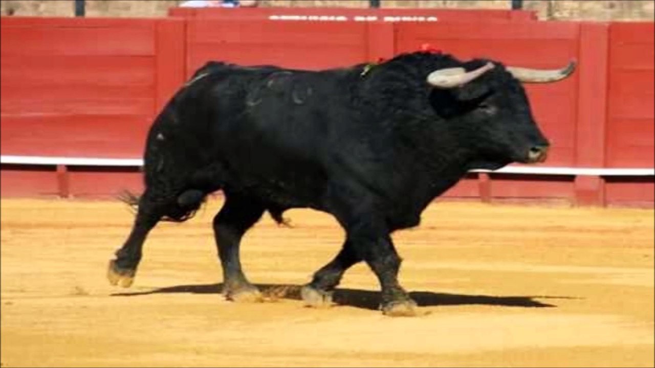 Bull Footsteps Sound Effect