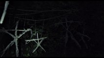 Blair Witch - Tráiler de la secuela de El proyecto de la bruja de Blair