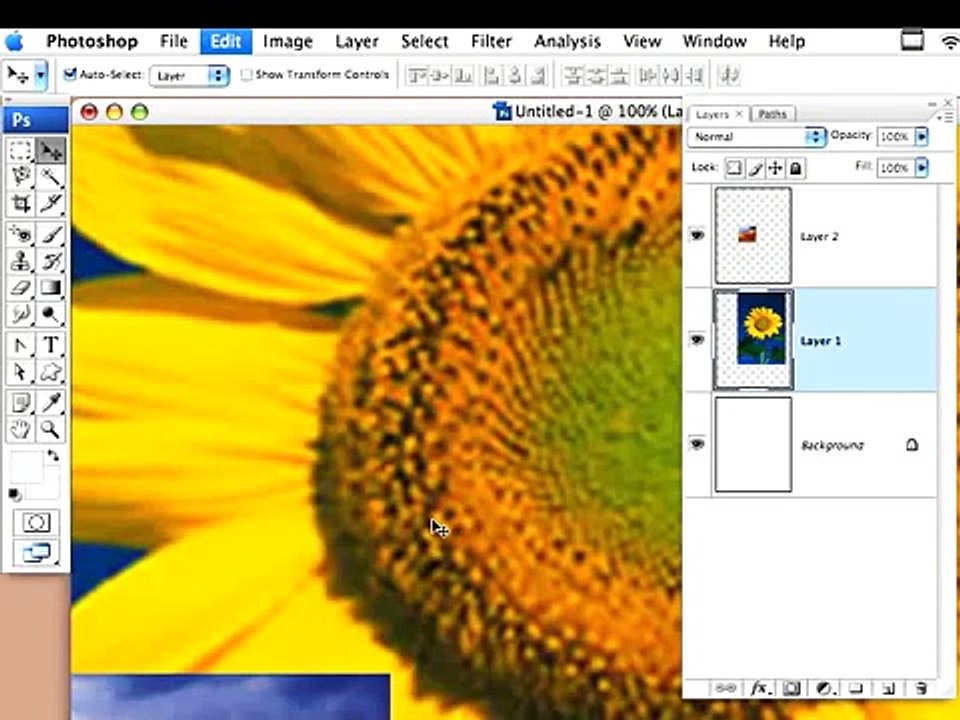 Basic Selection in Photoshop - Part 1