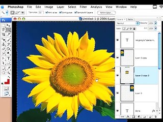 Introduction to the Wand Tool in Photoshop