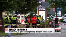 Munich shooter had no links to ISIS, but did plan attack: police