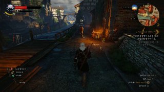 Witcher 3 - day4 - 10