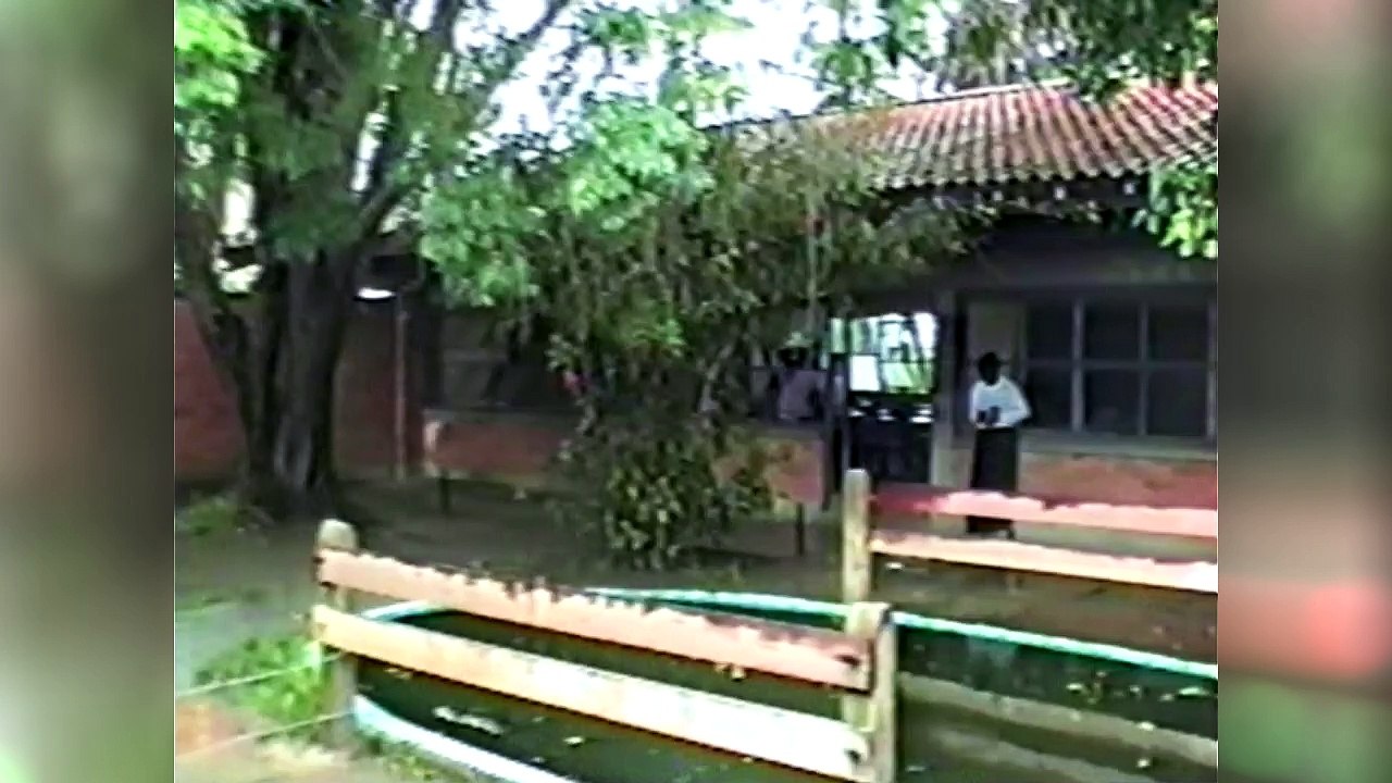 Imagens Açorianos 98 - por Alexandre Souza
