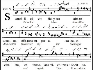 Offertorium Sanctificavit, Dominica XVII TpA (18è TO)