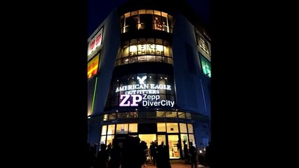 Bob Dylan in Japan 2014 - Hucks Tune