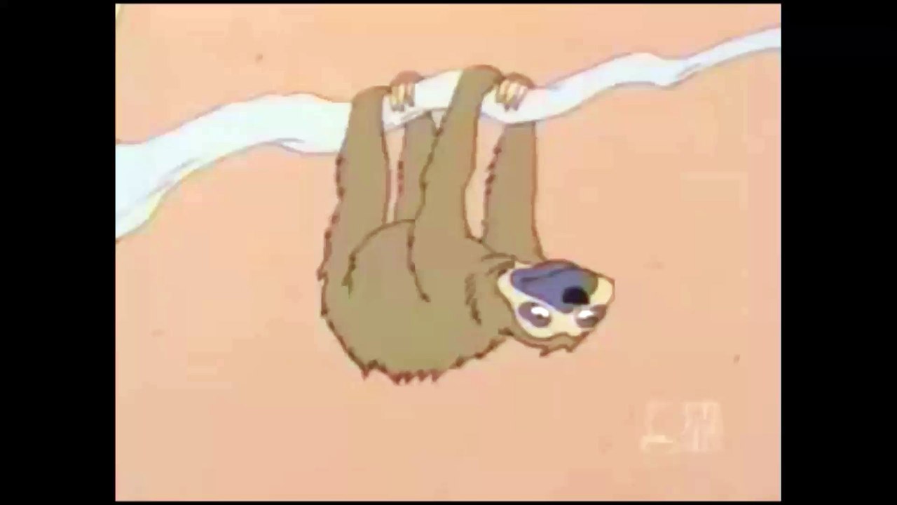 Sloth Dance