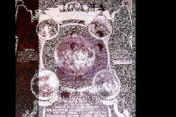 Luna Sea  "Cold Nights And The Lonely" 1976 US Private Prog Rock