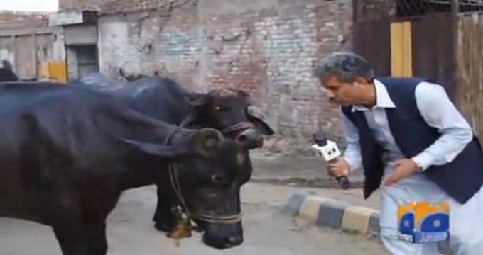 Watch Interesting Reporting of GEO News Reporter