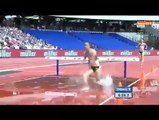 لندن:حبيبة الغريبي تفوز بالذهبية في سباق 3000 متر موانع في الدوري الماسي لألعاب القوى(فيديو)