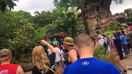 Disney World vacation Vlog Animal Kingdom (day 1)