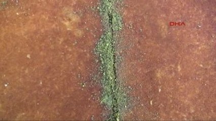 Hatay'ın Anavatana Katılışının Yıldönümünde 77 Metrelik Künefe