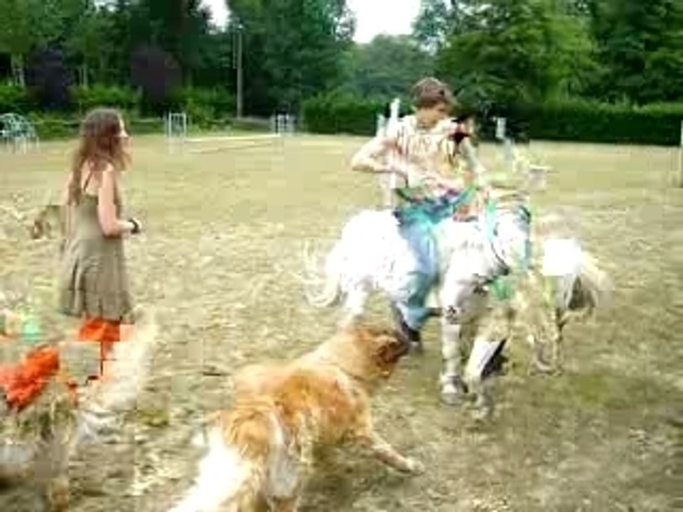 rodeo 1