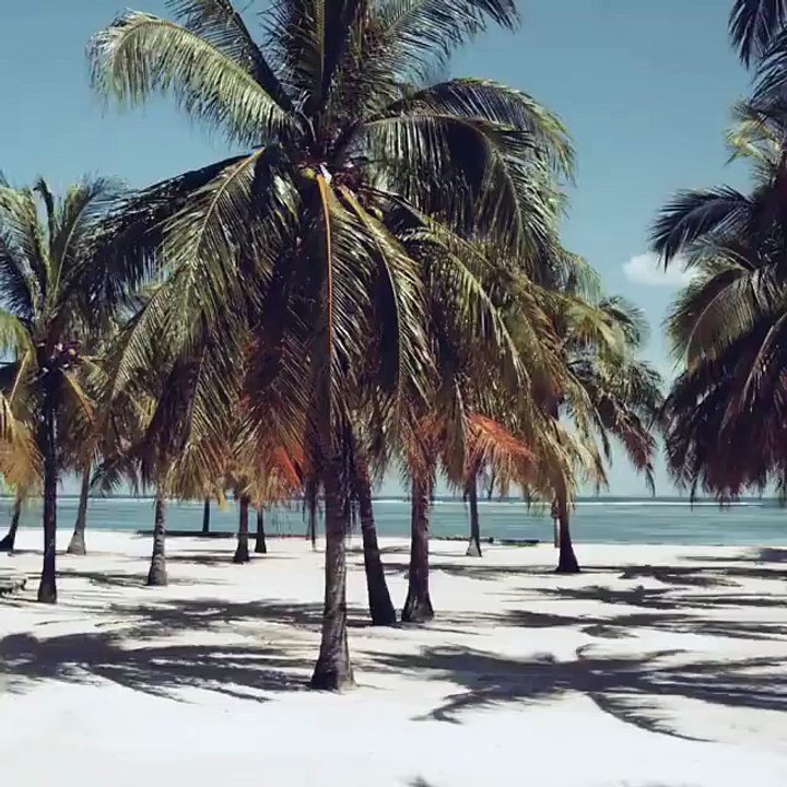 Surfing is everything I know, I couldn't imagine my life without it. It just woudn't make sense ! And I get to do it wit