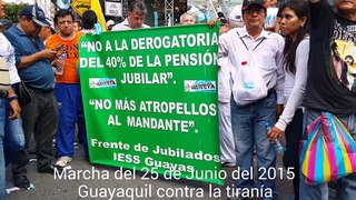 Marcha del 25 de Junio del 2015, Guayaquil Ecuador
