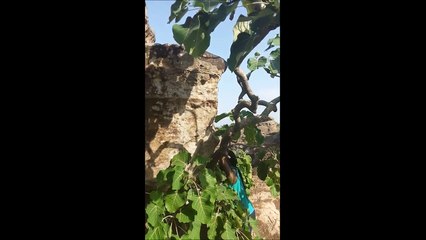 My journey back to Ghana: Vlog Part One B