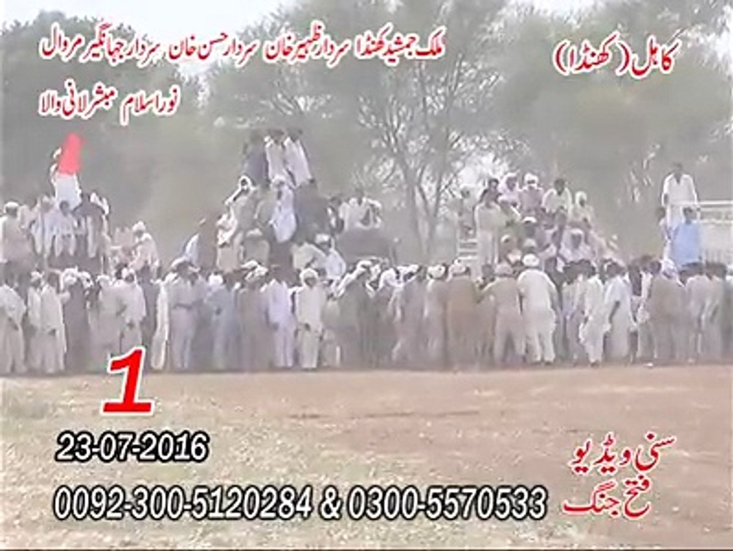 Bull race