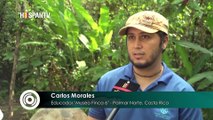 Cámara al Hombro - Esferas de piedra del Diquis en Costa Rica