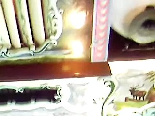 Kennywood Physics Day 2008 (Carousel 1)