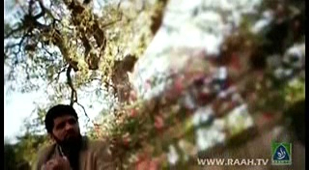 Me apne nabi k kuche me chalta hi gya chalta hi gya