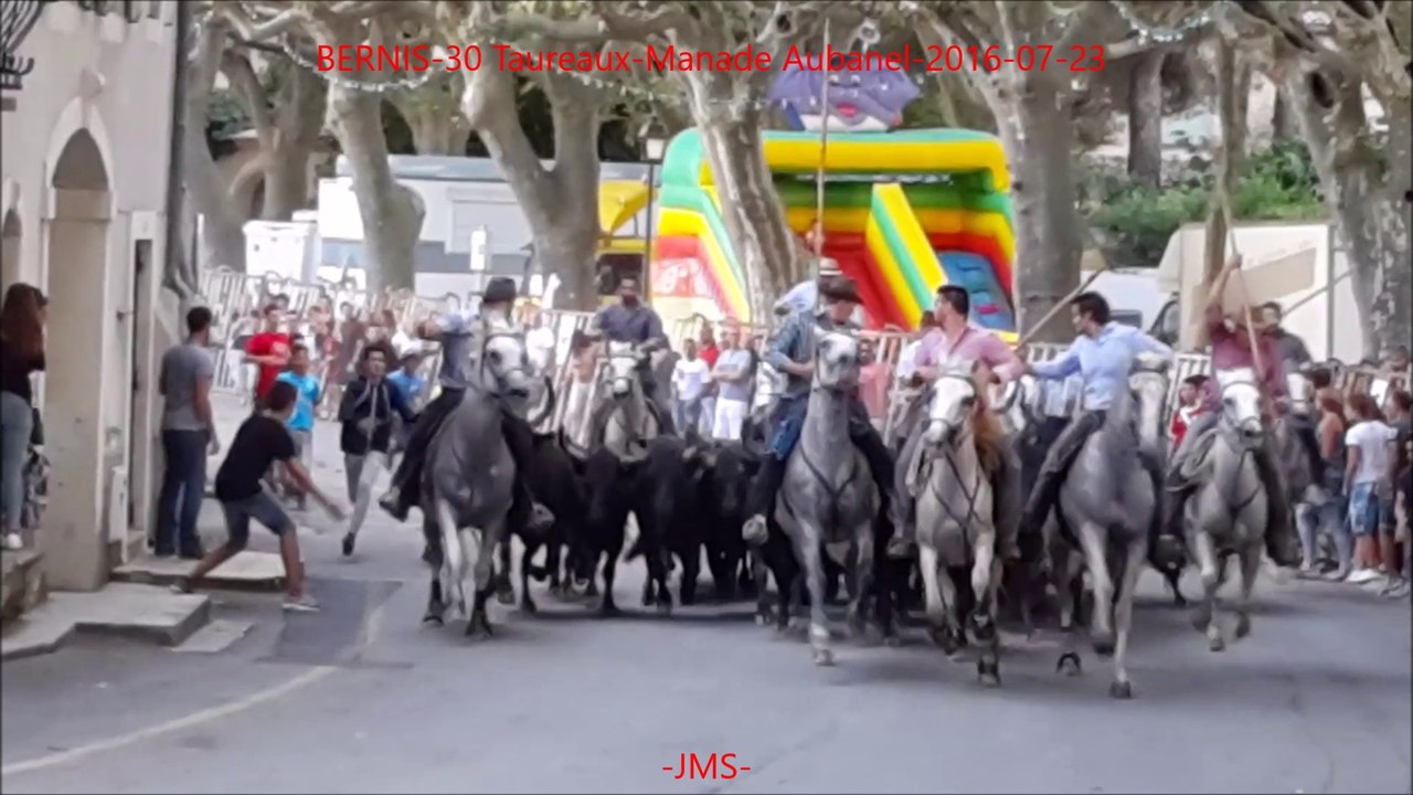BERNIS-30-Taureaux-Abrivado-Manade-Aubanel-2016-07-23