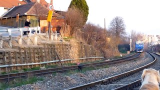 Trenuri in Oradea (25 03 2011)