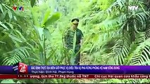 Vụ phá rừng pơ mu: Làm việc với nguyên Đồn trưởng đồn biên phòng Nam Giang