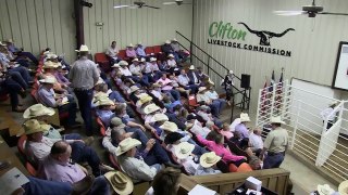 2015 World Livestock Auctioneer Championship Finals - Part 1