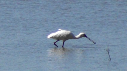 Petit séjour en Andalousie