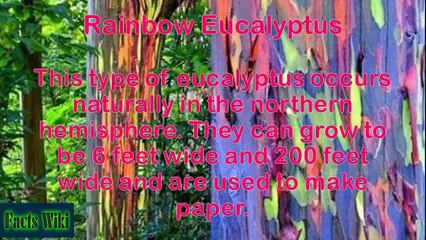 6 Things Happening in the World You Don't Know