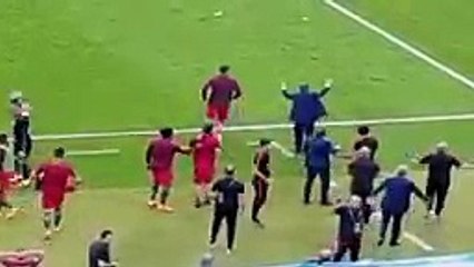 Ronaldo portugal win Euro cup