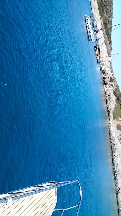 AYDIN BUSE AKVARYUM KOYU BODRUM 2016