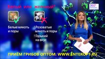 ☎ +79235387770 ЦЕНА ПРИЁМА ГРИБОВ ЛИСИЧКИ СДАТЬ БЕЛЫЕ ГРИБЫ ОПТОМ ПРИМУ ГРИБЫ НОВОСИБИРСК ЗАКУП ГРИБОВ СМОРЧКИ ПРОДАТЬ ГРИБЫ ЯГОДЫ КУПЛЮ