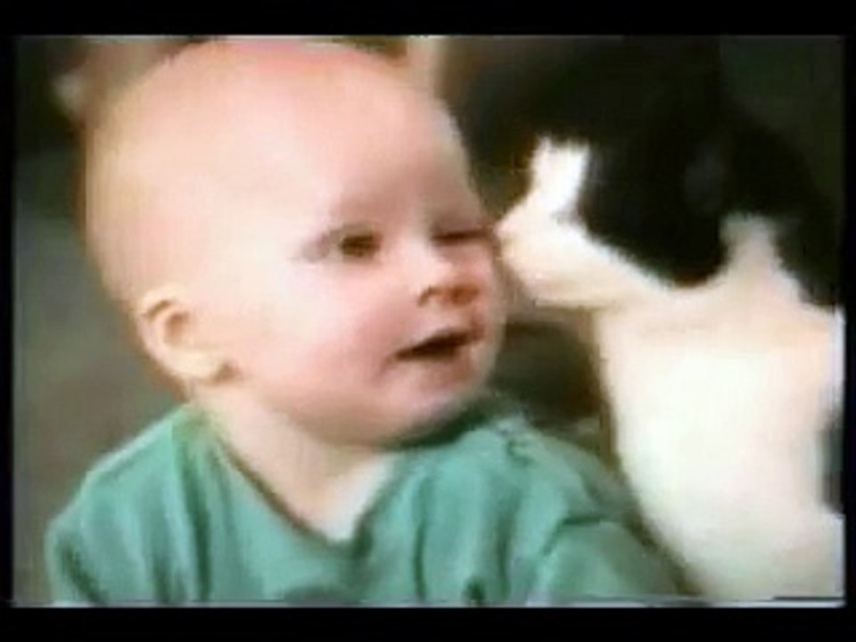 Funny Cat Clips - With Added Sound Effects -
