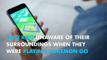 Pokemon Go to blame for the first illegal border crossing accident