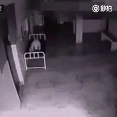 #Viral paranormal: ¿Eso es un fantasma o el alma dejando el cuerpo de una mujer en un hospital?