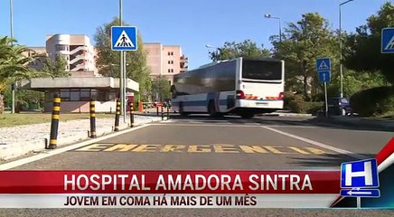 Claque do Sporting homenageia adepto em coma - Futebol - Correio da Manh