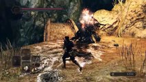 Let's Play Dark Souls 2: No Death, No Magic 11 - Huntsman's Copse