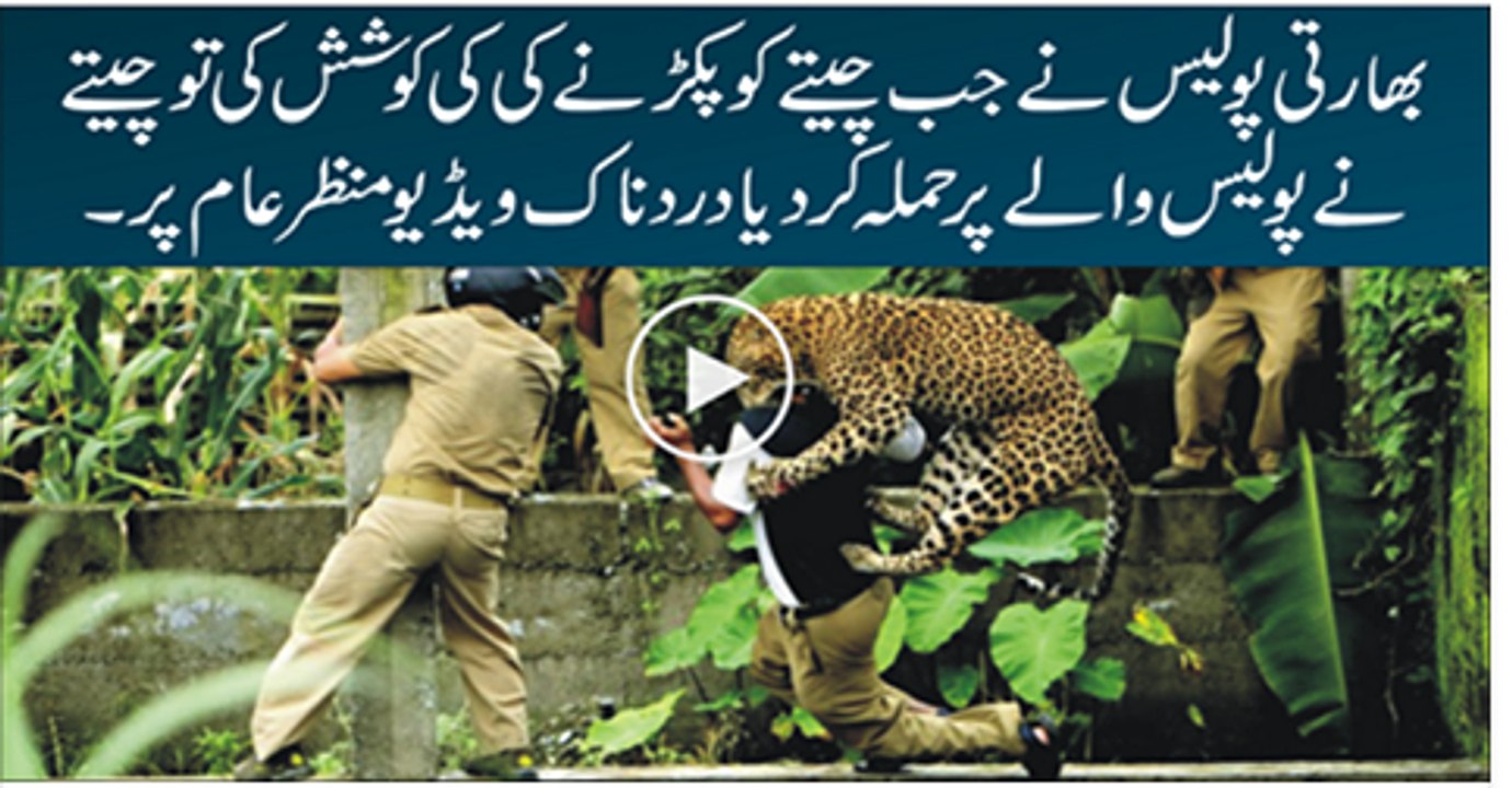 Leopard Attack On Indian Police