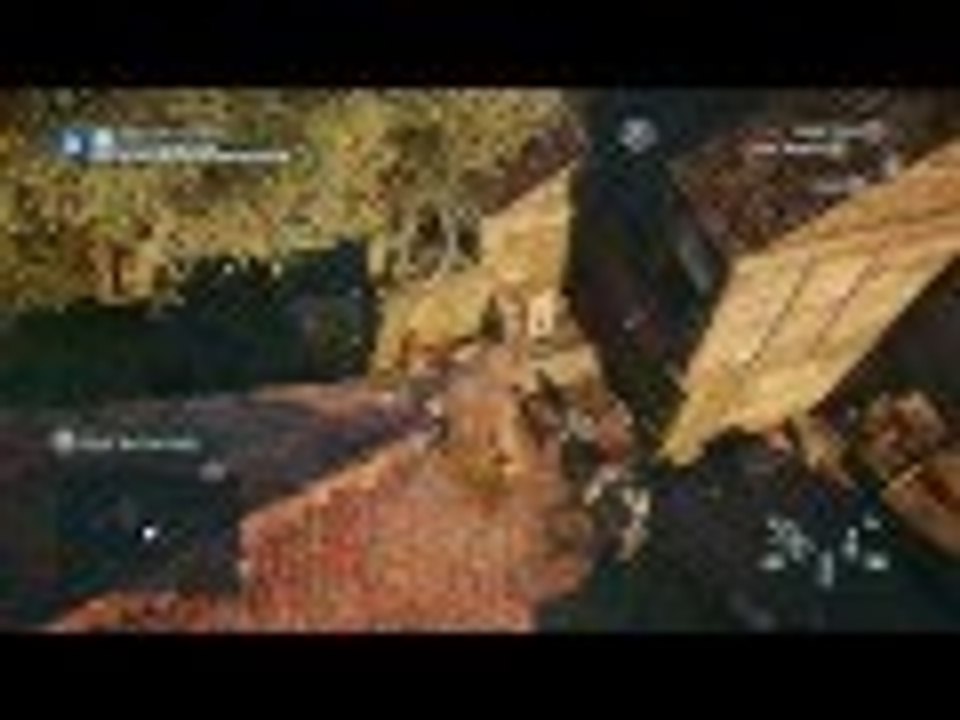 ASSASSINS CREED UNITY rastafied Gameplay