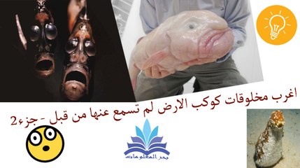 اغرب مخلوقات كوكب الارض لم تسمع بها من قبل - جزء2