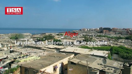 Les derniers grands bidonvilles d'Alger