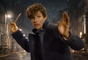 Fantastic Beasts and Where to Find Them - Official Comic-Con Trailer