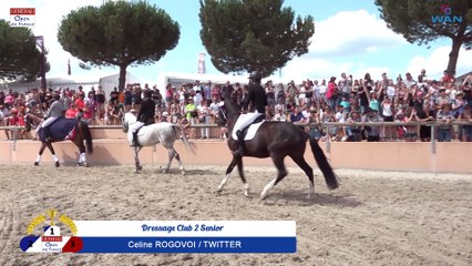 Dressage Club 2 senior