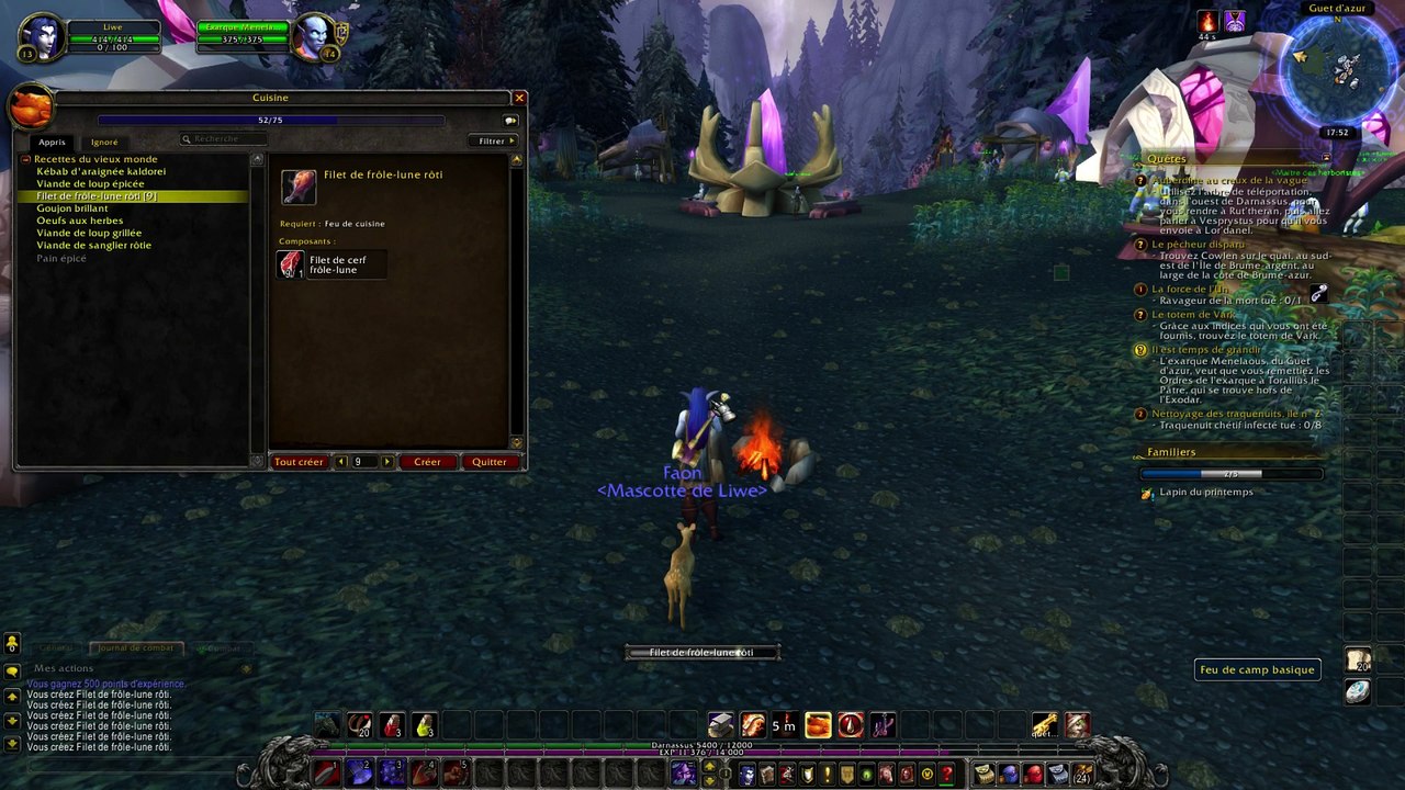 Le Gwiig  ( elfe de la nuit guerrière ) VS WoW n°6
