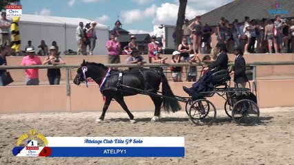 Attelage Club Elite GP Solo