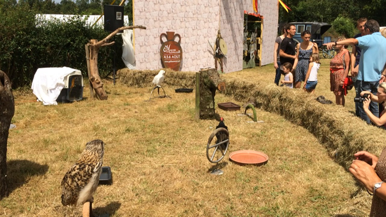 L'association animale "La dame blanche a fêté ses 30 ans"