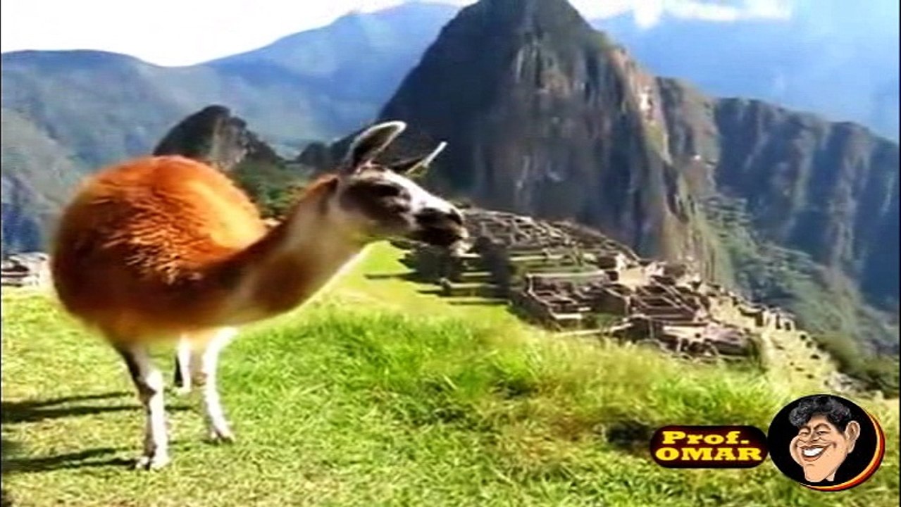 Peru Prof. OMAR