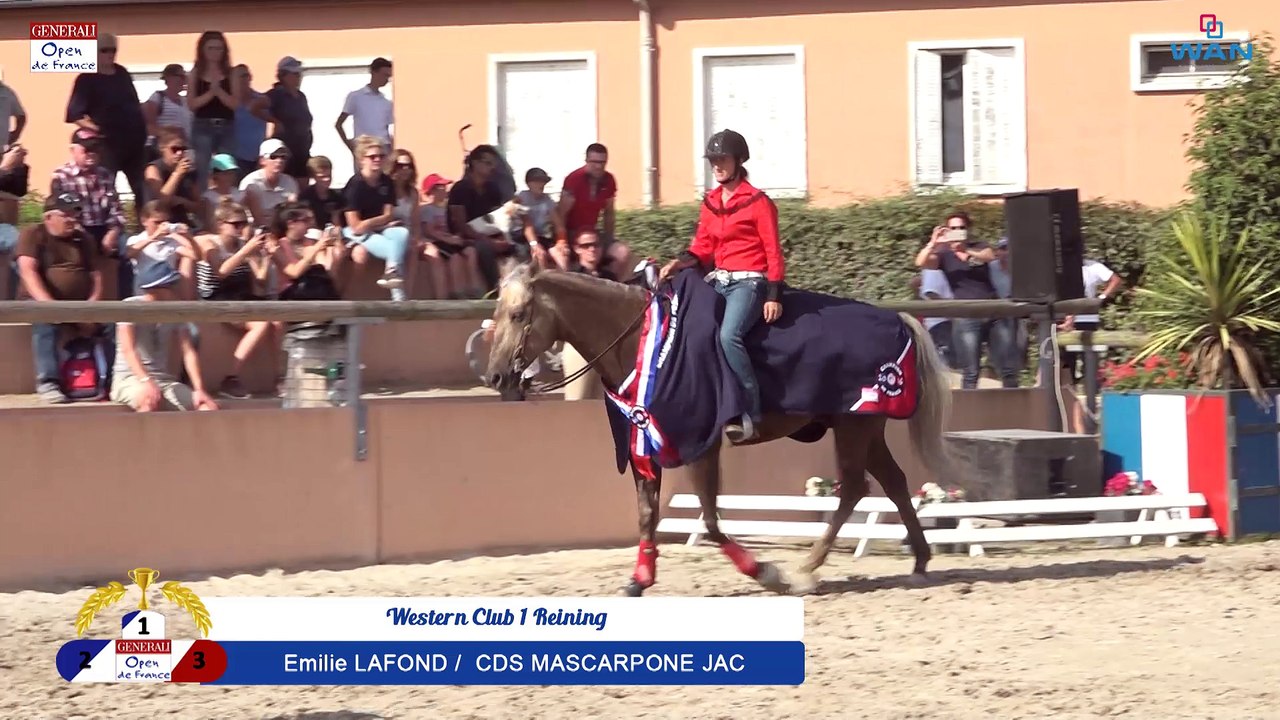 Western Club 1 Reining