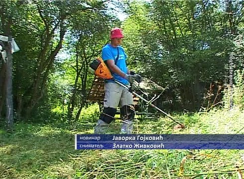 Javni radovi u Boljevcu, 24. jul 2016. (RTV Bor)