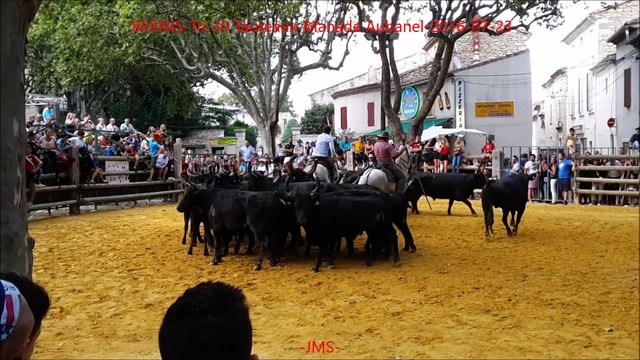 BERNIS-Tri-30 Taureaux-Manade Aubanel-2016-07-23